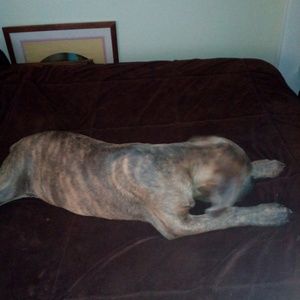 Meet your Posher, Dwayne